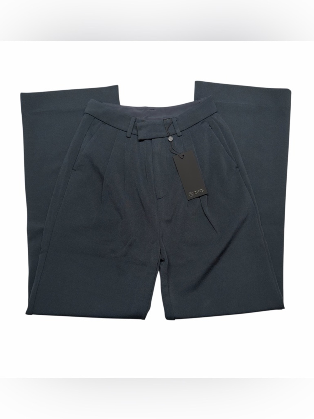 CUTS Clothing Womens Essential Pant Sz 2 Obsidian High Waisted Pleated $150 NEW